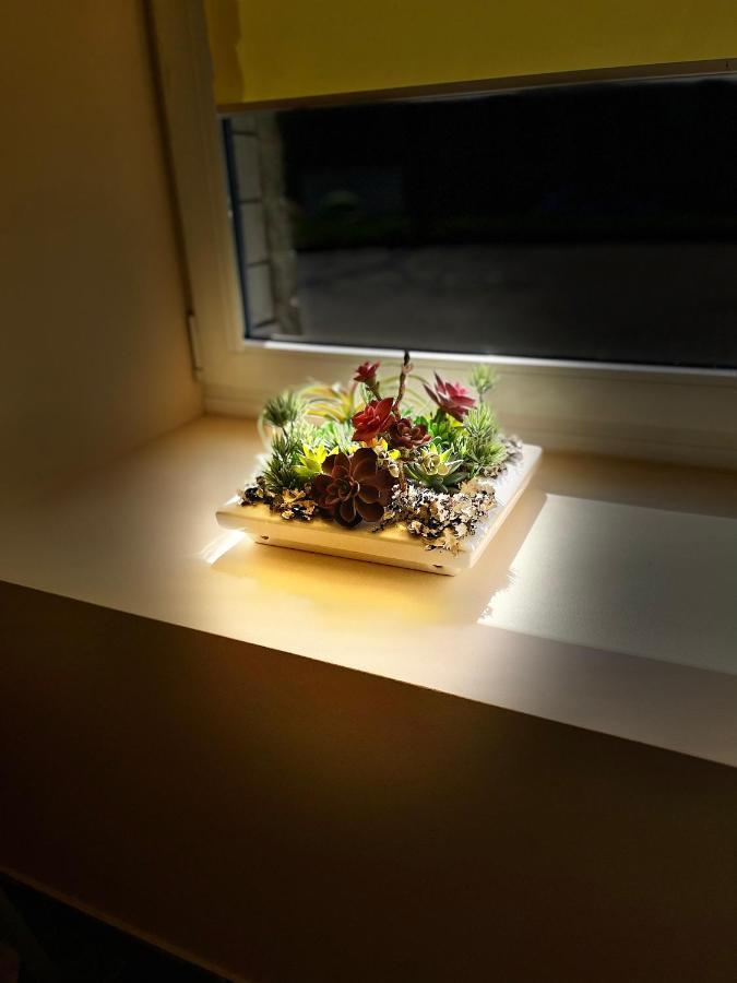 Siauliu Apartamentai シャウレイ エクステリア 写真
